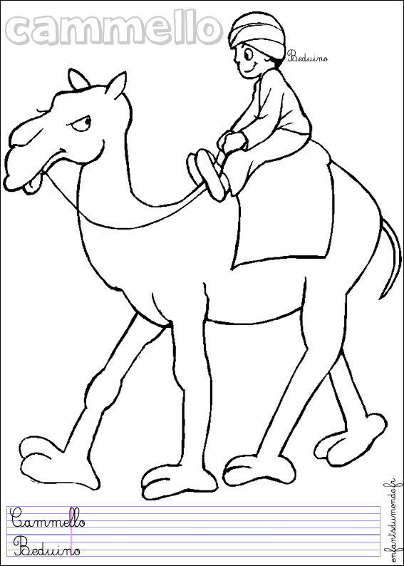 coloriage chameau 3